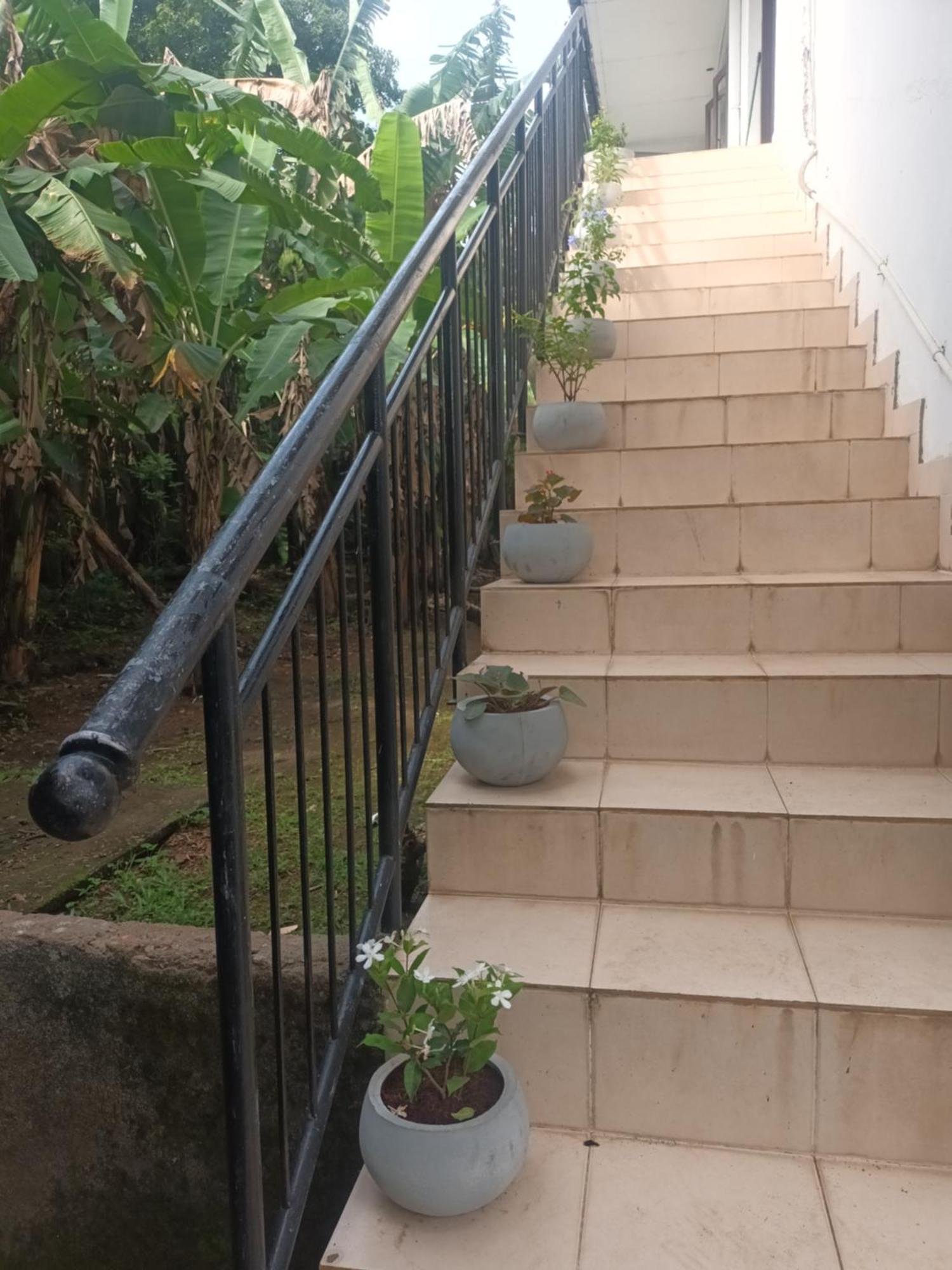 Dehiwala-Mount Lavinia Lovely Flowers In Mount Lavinia מראה חיצוני תמונה