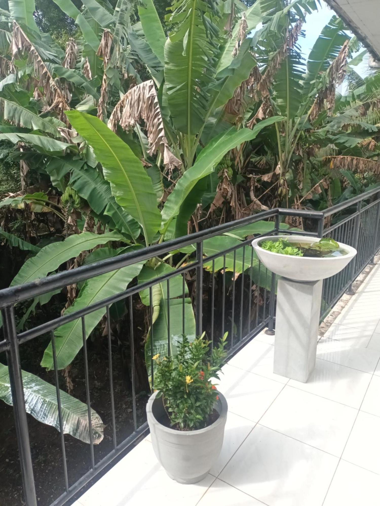 Dehiwala-Mount Lavinia Lovely Flowers In Mount Lavinia מראה חיצוני תמונה